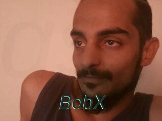 BobX