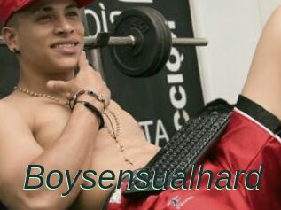 Boysensualhard