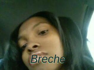 Breche
