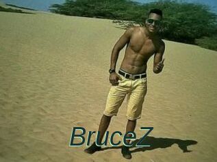 BruceZ