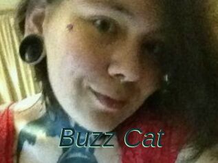 Buzz_Cat