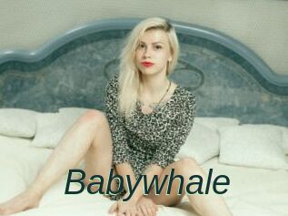 Babywhale