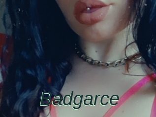 Badgarce