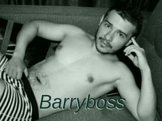 Barryboss