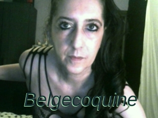 Belgecoquine