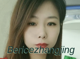 Bericezhangjing