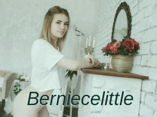 Berniecelittle