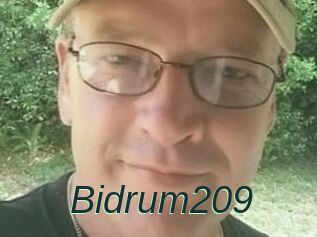 Bidrum209