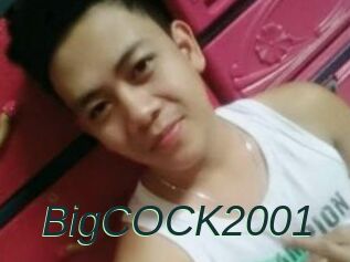 BigCOCK2001
