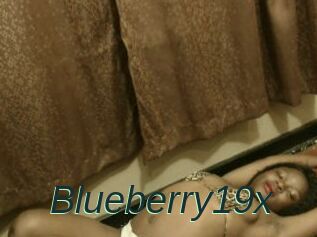 Blueberry19x