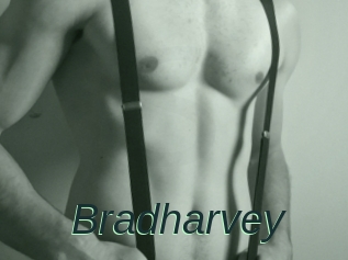 Bradharvey