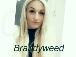 Brandyweed