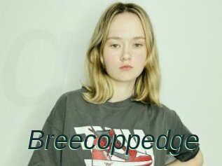 Breecoppedge