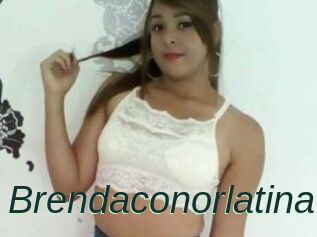 Brendaconorlatina