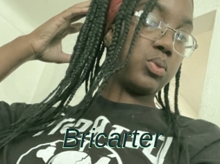 Bricarter