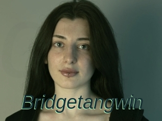 Bridgetangwin