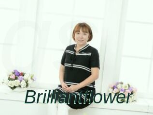 Brilliantflower