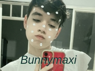Bunnymaxi