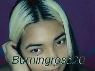 Burningrose20