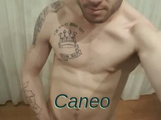 Caneo
