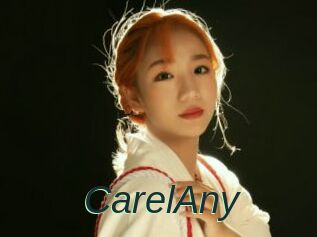 CarelAny
