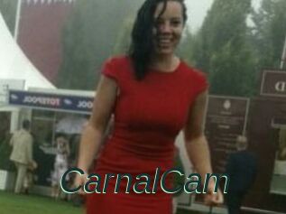 CarnalCam