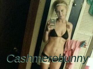 Cashmerebunny