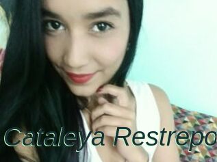 Cataleya_Restrepo
