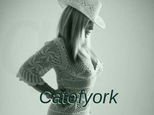 Catofyork