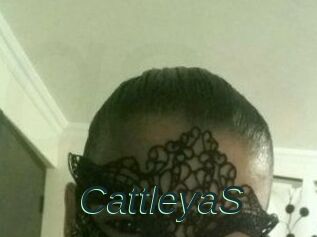 Cattleya_S