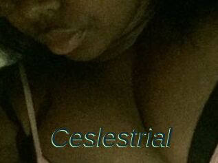 Ceslestrial