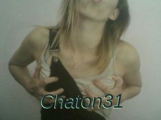 Chaton31
