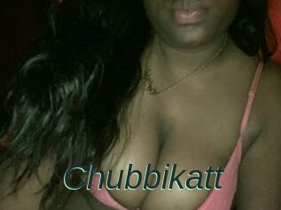 Chubbikatt