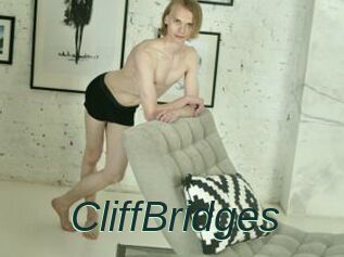 CliffBridges