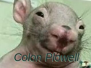 Colon_Plowell