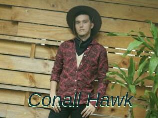 Conall_Hawk