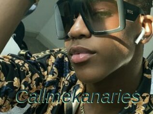 Callmekanaries