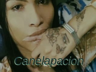 Canelapacion