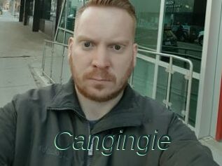 Cangingie
