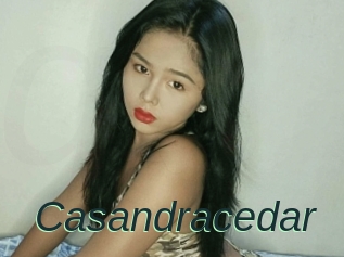 Casandracedar