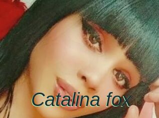 Catalina_fox