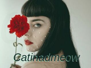 Catinadmeow