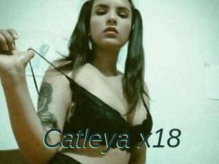 Catleya_x18