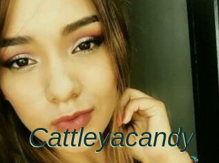 Cattleyacandy