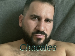 Chacales