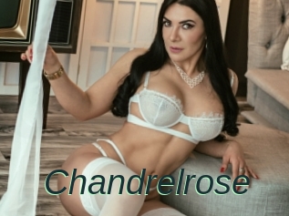 Chandrelrose