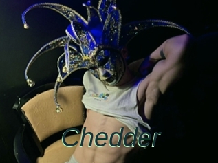 Chedder
