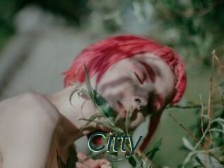 Citty