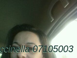 Coccinella-07105003