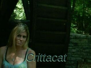 Crittacat